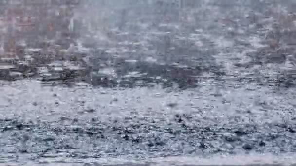 Hurok Esőcseppek Esés Valódi Eső Kiváló Minőségű Lassú Eső Mennydörgés — Stock videók