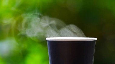 coffee takeaway in a paper cup on top of the car roof green tree background at sunrise in the morning,  selective focus, soft focus.
