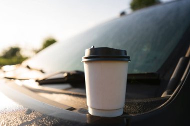Kahve fincanının içinde, arabanın tepesinde yeşil ağaç arka planında, sabah güneş doğarken.