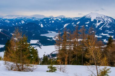 MARIAZELL AUSTRIA - 17 Şubat 2017, kayak ve snowboard sporu için Avusturya 'daki Brgeralpe Mariazell tatil beldesi, 11 km yamaçlara ve nakliye konuklarına 5 asansöre sahiptir..