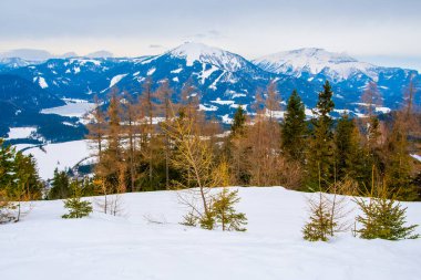 MARIAZELL AUSTRIA - 17 Şubat 2017, kayak ve snowboard sporu için Avusturya 'daki Brgeralpe Mariazell tatil beldesi, 11 km yamaçlara ve nakliye konuklarına 5 asansöre sahiptir..