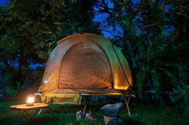 Çadırın içinden sabah ormanın içinde kamp çadırı kurmak için dinlenme ekipmanlarına bakmak, açık kahve yapma tesisleri olan kamp çadırları, hafif odaklanma...
