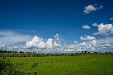 clouds and blue sunny sky,  white clouds over blue sky, Aerial view,  nature blue sky white cleat weather.