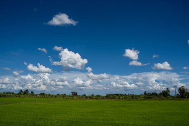 clouds and blue sunny sky,  white clouds over blue sky, Aerial view,  nature blue sky white cleat weather.