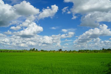 clouds and blue sunny sky,  white clouds over blue sky, Aerial view,  nature blue sky white cleat weather.
