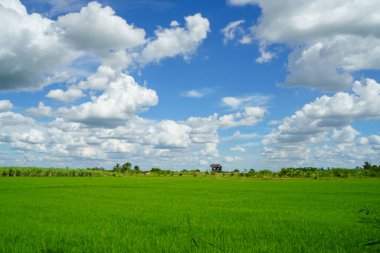 clouds and blue sunny sky,  white clouds over blue sky, Aerial view,  nature blue sky white cleat weather.
