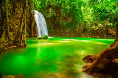 Erawan Şelalesi, Kanchanaburi, Tayland 'da bulunan güzel bir kaya şelalesidir. Hot Springs Onsen Doğal Hamamı, Şelaleler ve Erawan Ulusal Parkı 'ndaki zümrüt mavisi suda yüzen balıklar..