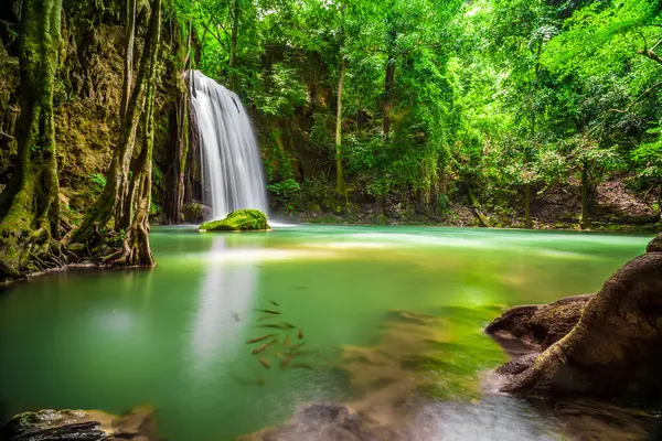 Erawan Şelalesi, Kanchanaburi, Tayland 'da bulunan güzel bir kaya şelalesidir. Hot Springs Onsen Doğal Hamamı, Şelaleler ve Erawan Ulusal Parkı 'ndaki zümrüt mavisi suda yüzen balıklar..