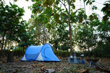 Camping tents at night with outdoor coffee-making facilities in a forest camping area clipart