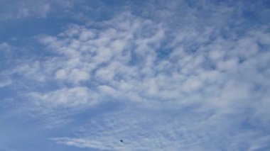 Bulutlar ve mavi güneşli gökyüzü, mavi gökyüzünde beyaz bulutlar, hava manzarası, doğa, mavi gökyüzü, beyaz açık hava. Zaman aşımı videosu 4 K.