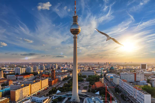 Воздушная Панорама Берлина Закате Центр Города Небоскребами Мостами Германия — стоковое фото