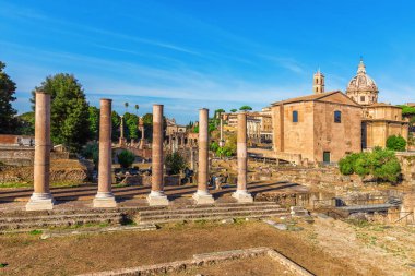Landmarks of the Roman forum remains, Italy.