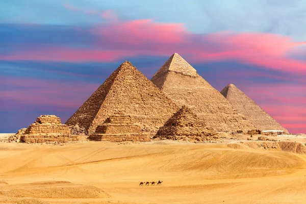 Les Grandes Pyramides Egypte Les Compagnons Pyramide Désert Gizeh Egypte — Photo