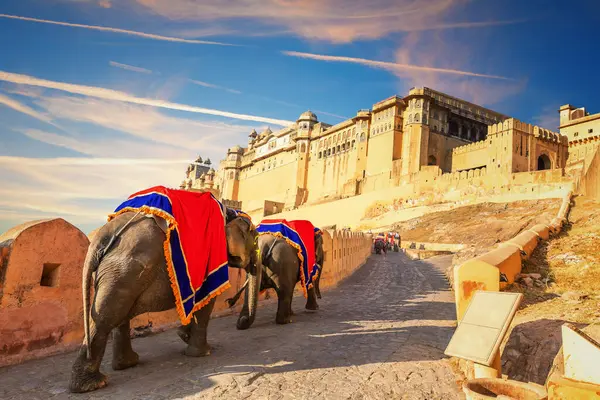 印度斋浦尔琥珀堡著名旅游胜地的印度大象骑手 图库照片