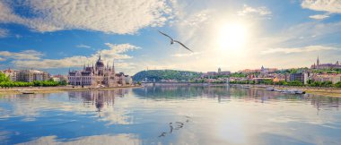 Macaristan 'ın Budapeşte kentinde Tuna Nehri' nin güneş doğuşu manzarası ve parlamento binası ve uçan martı .