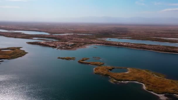 Drone Flyvning Hytte Landsby Bredden Lake Aydarkul Solrig Sommerdag Fugle – Stock-video