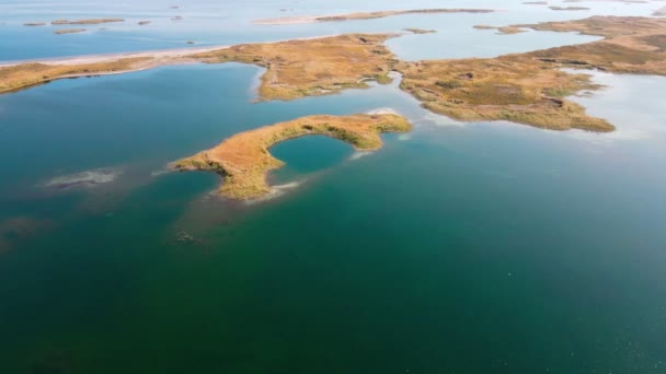 Drone Flygning Över Öarna Täckt Med Vass Sjön Aydarkul Solig — Stockvideo