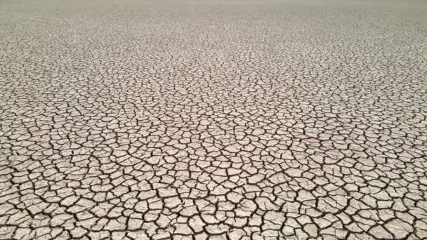 無人機は 砂漠の真ん中の湖に向かって乾燥型の遊技場を飛び越えていきます — ストック動画