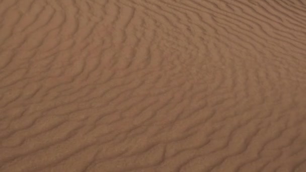 Волны Песчаных Дюнах Закате Проходящего Внедорожника Замедленное Движение — стоковое видео
