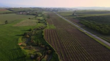 Tarlalar ve üzüm bağları arasındaki asfalt bir yolda insansız hava aracı