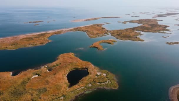 Drone Flygning Över Öarna Täckt Med Vass Sjön Aydarkul Solig — Stockvideo