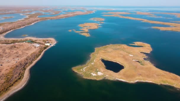 Voo Drone Sobre Ilhas Cobertas Com Juncos Lago Aydarkul Dia — Vídeo de Stock