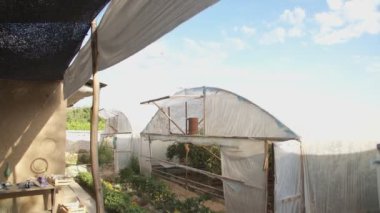 Bulutlu bir günde büyüyen domatesli sera, yavaş çekim