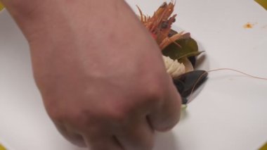 Daikon, limon dilimleri, yapraklar, kafayla kesilmiş balık ve siyah kare tabakta farklı türde kırmızı balık dilimleri ile suşi süslemek. Yakın çekim.