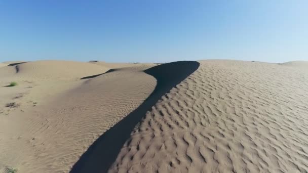 春天的沙漠 沙丘与罕见的草 由无人驾驶飞机拍摄 — 图库视频影像