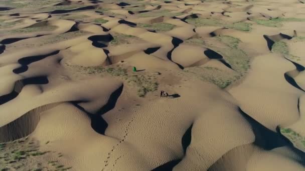 Mensen Lopen Duinen Woestijn Het Voorjaar Gefilmd Door Drone Luchtfoto — Stockvideo