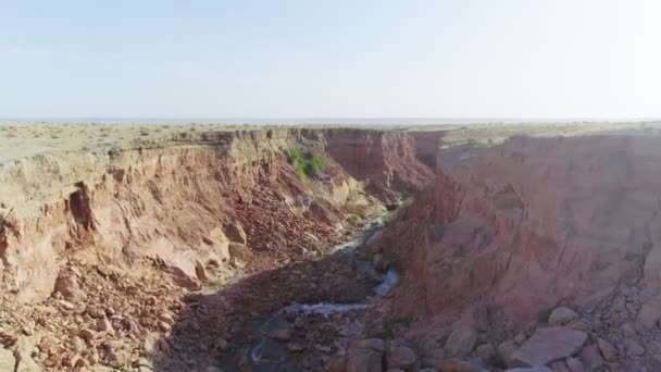 Folyó Sivatagban Folyik Szurdokban Báránynyáj Jött Itatóhelyre Forgatókönyv Drón Légi — Stock videók