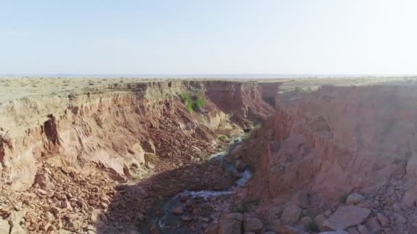 Река Течет Ущелье Пустыне Стадо Овец Подошло Водопою Снято Беспилотником — стоковое видео