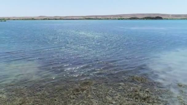 Drohne Fliegt Mitten Der Wüste Über Das Seewasser Luftaufnahme — Stockvideo