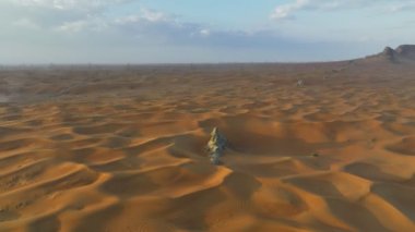 Kumlu çölün ortasında, günbatımının arkaplanına karşı yalnız bir meşe ağacının etrafında bir dronun uçuşu.