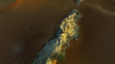 Kumlu çölün ortasında, günbatımının arkaplanına karşı yalnız bir meşe ağacının etrafında bir dronun uçuşu.