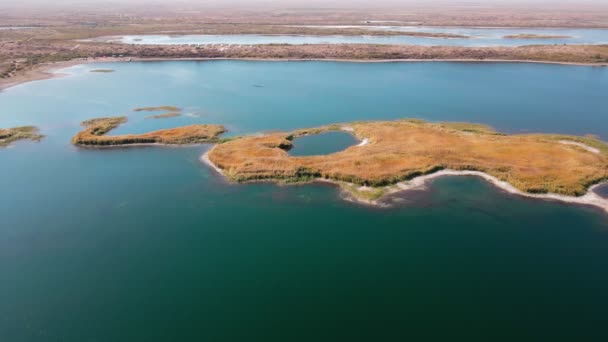 Lot Dronem Nad Wyspami Pokrytymi Trzcinami Nad Jeziorem Aydarkul Słoneczny — Wideo stockowe