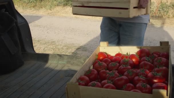 Hombre Pone Cajas Tomates Maletero Coche Cámara Lenta — Vídeos de Stock