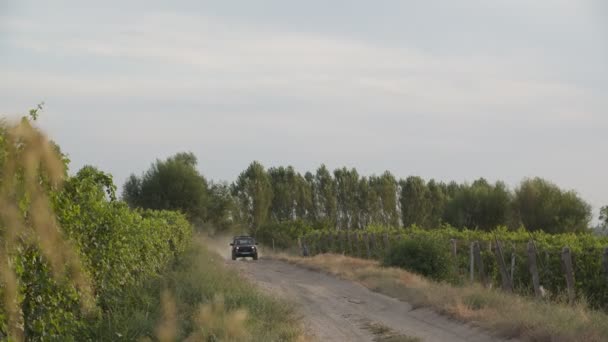 Slow Motion Shooting Jeep Driving Rural Road Vineyards Passing Day — Stock Video