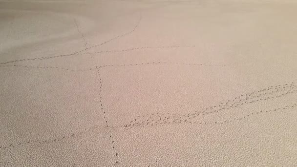 Drone Leci Nad Suchym Typu Playa Wśród Pustyni Stepu — Wideo stockowe