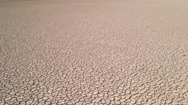 Drone Vuela Sobre Playa Tipo Seco Entre Desierto Estepa — Vídeo de stock