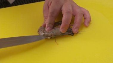 Şef, sarı bir tahtada şefin bıçağıyla şerit kesiyor. Yakın çekim..