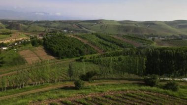 Güneşli bir günde tepeler ve tarlalar üzerinde insansız hava aracı uçuşu. Hava görünümü