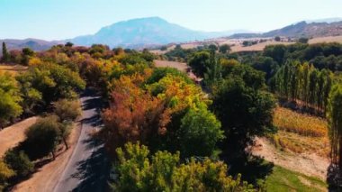 Güneşli bir öğleden sonra İHA 'lı bir dağ yolu