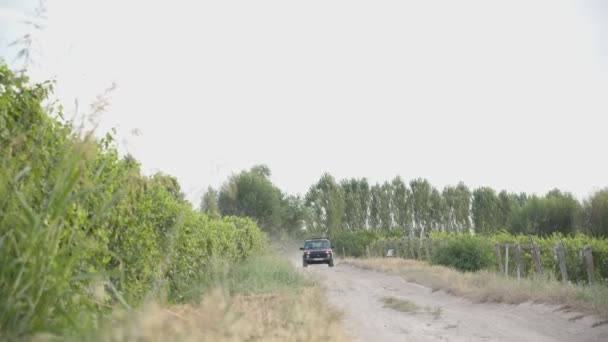 一辆吉普车在穿过葡萄园的乡间路上缓行射击 — 图库视频影像