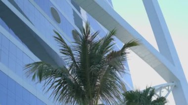Birleşik Arap Emirlikleri 'nde, bulutsuz bir gökyüzüne karşı palmiye ağaçlarıyla çevrili Burj Al-Arap gökdelenine yakın çekim. Yavaş çekim