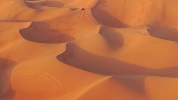 Drón Ciklusokban Repül Quadra Homokdűnéken Állva Egyesült Arab Emírségek Sivatagában — Stock videók