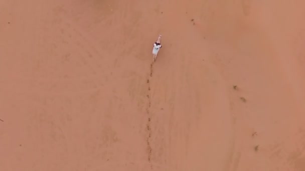 Беспилотник Летит Всаднике Белом Коне Скачет Песку Пустыни Среди Зеленых — стоковое видео