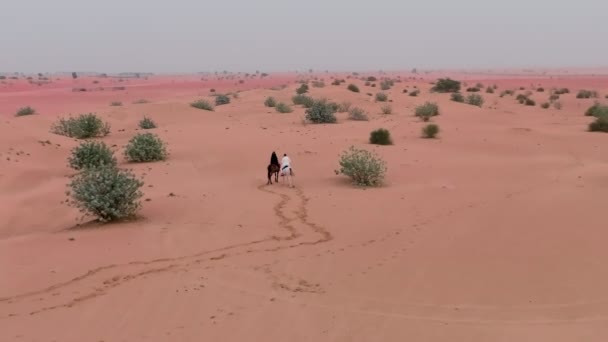 Een Drone Vliegt Twee Ruiters Rijdend Woestijnzand Tussen Groene Struiken — Stockvideo