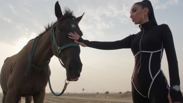 Jonge Mooie Vrouw Sport Jumpsuit Aanraken Van Een Rood Paard — Stockvideo