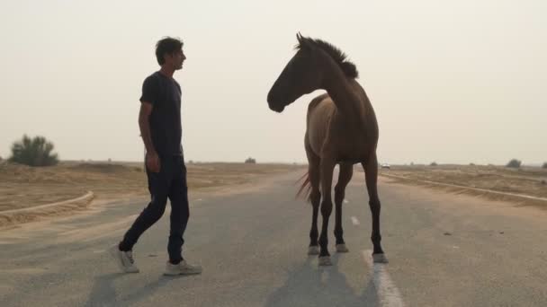 青年が夕日の空を背景に道路に立っている赤い馬に近づいてくる スローモーション — ストック動画